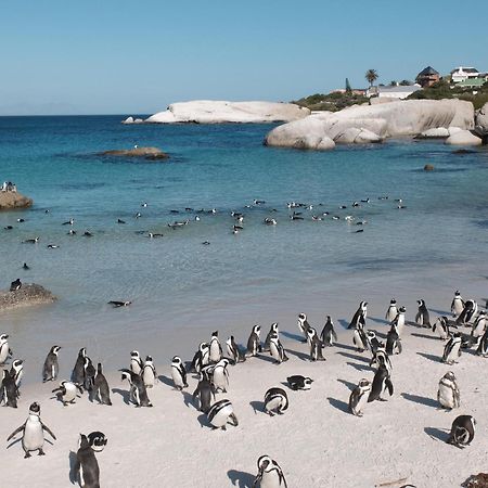 Penguin Haven . Luxury 2 Bedroom, Boulders Beach. Кейптаун Экстерьер фото